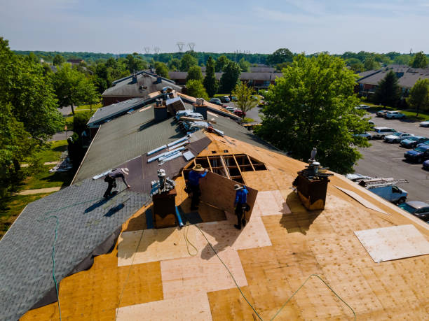 Best Roof Gutter Cleaning  in Madison, WI